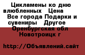Цикламены ко дню влюбленных › Цена ­ 180 - Все города Подарки и сувениры » Другое   . Оренбургская обл.,Новотроицк г.